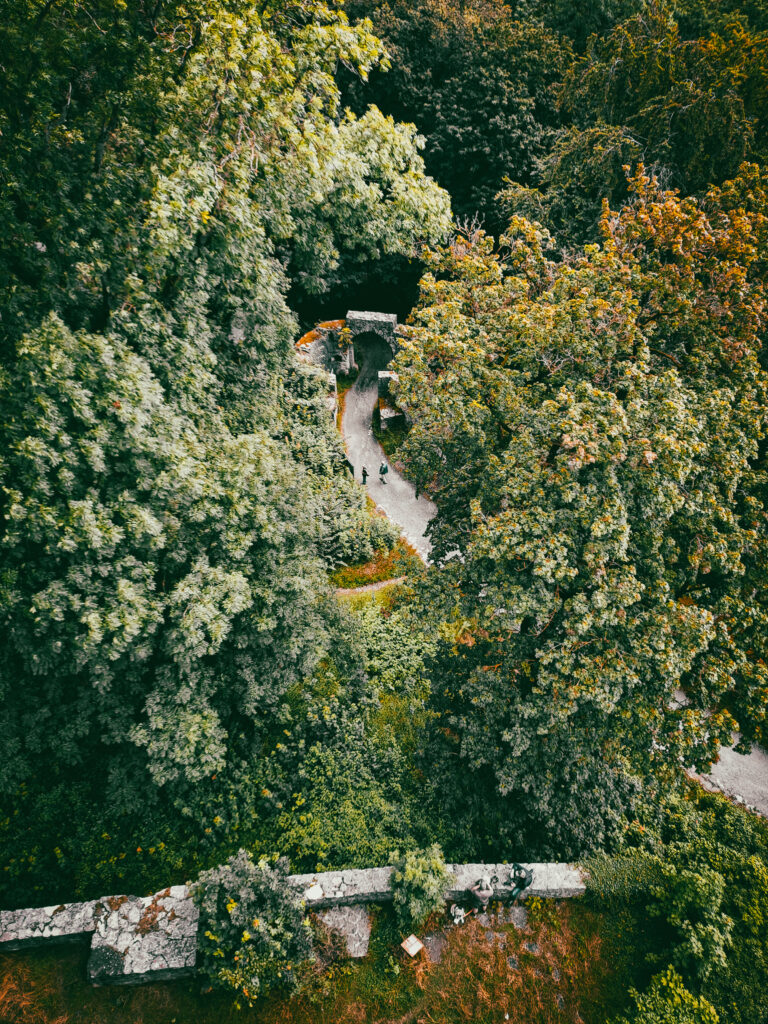 Der Weg zur Burg vom Bergfried aus betrachtet.