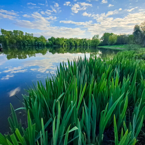 Wendebachstausee